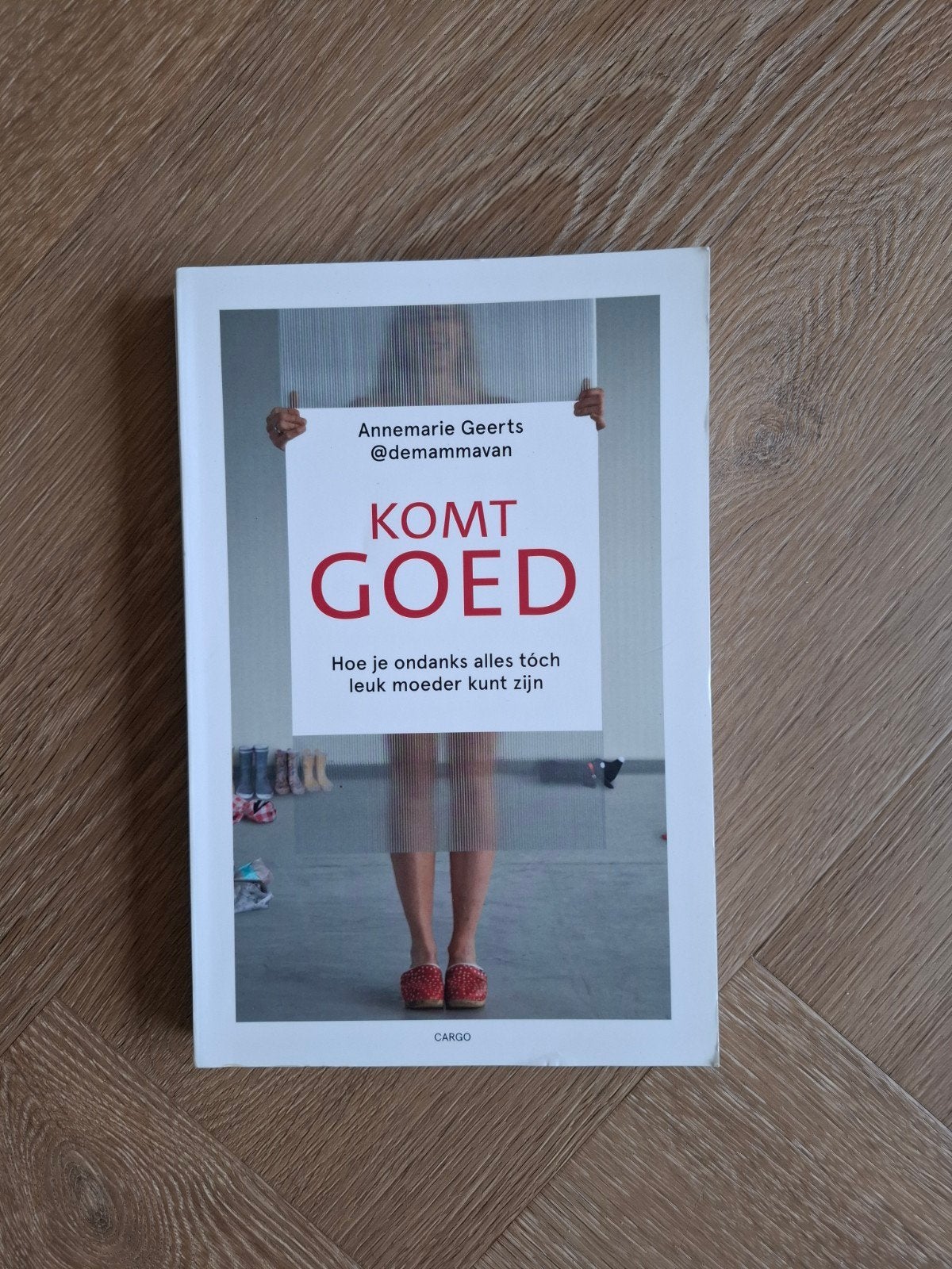 Komt Goed - Annemarie Geerts (@demammavan), Ophalen of Verzenden, Zo goed als nieuw, Opvoeding tot 6 jaar, Annemarie Geerts