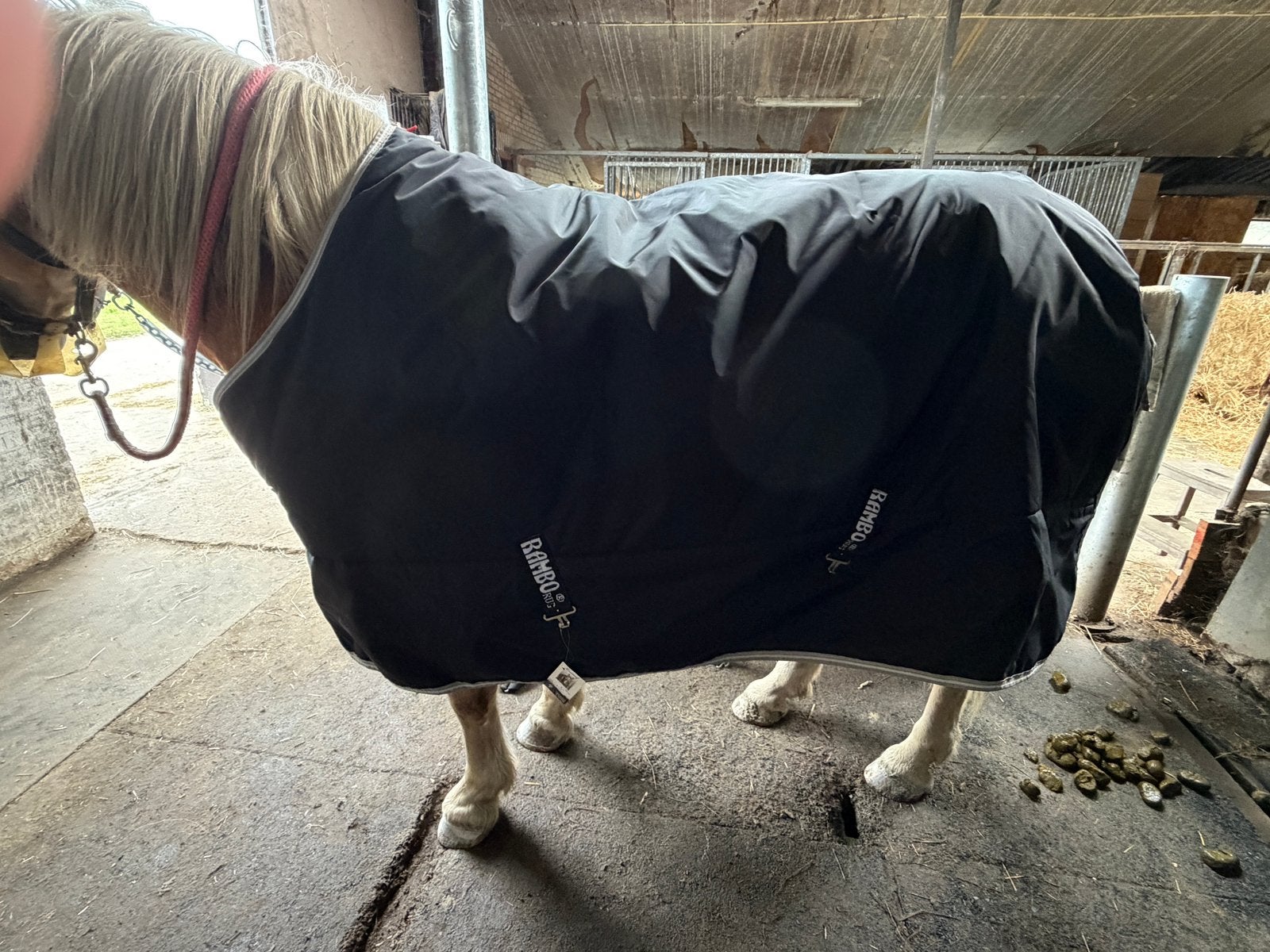 Rambo horseware original turnout medium 6.3 200 gram NIEUW, Dieren en Toebehoren, Ophalen of Verzenden, Nieuw, Deken