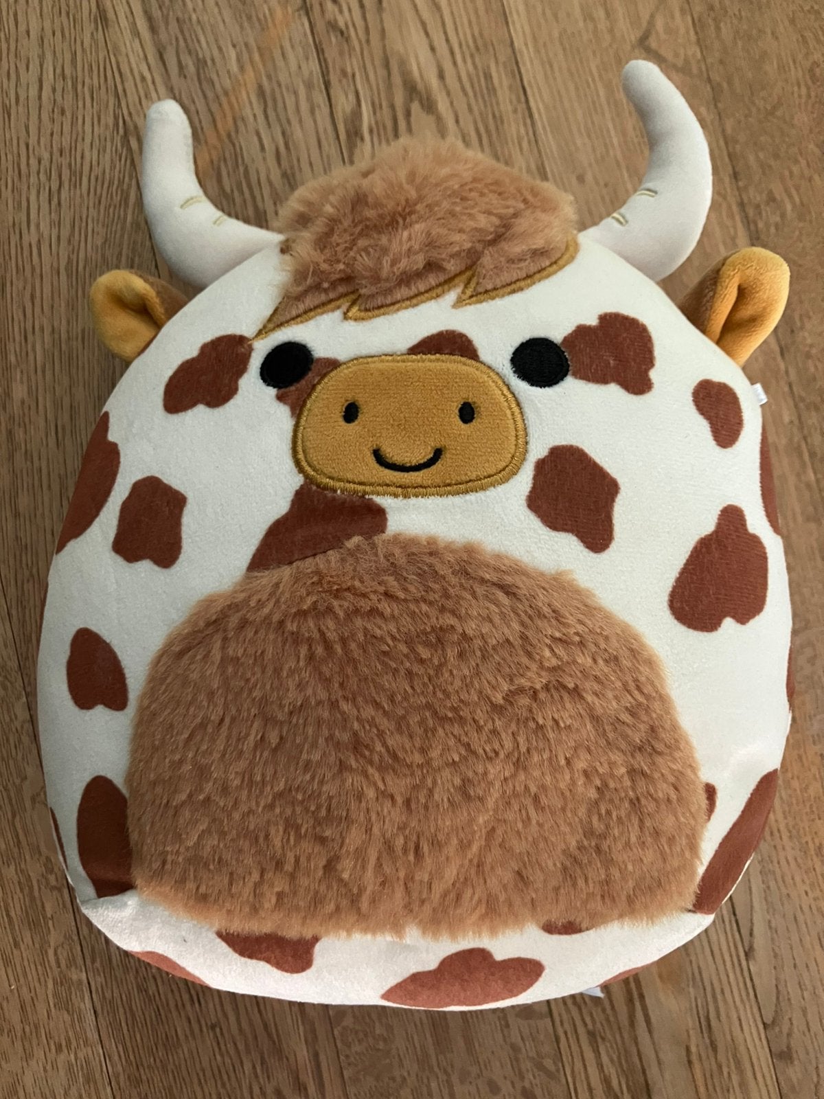 Squishmallow Alonzo de Schotse Hooglander (Koe) – 19 cm, Ophalen of Verzenden, Nieuw