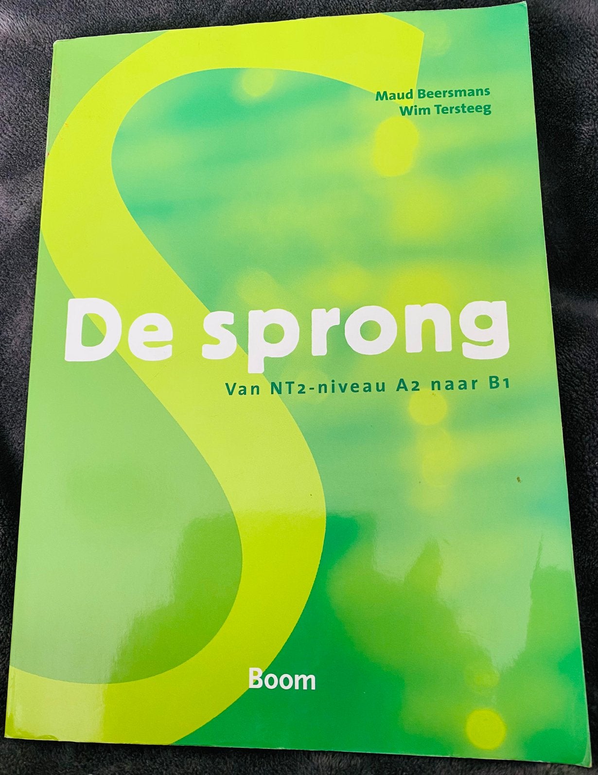 Maud Beersmans - De sprong, Maud Beersmans; Wim Tersteeg, Ophalen of Verzenden, Zo goed als nieuw, Nederlands