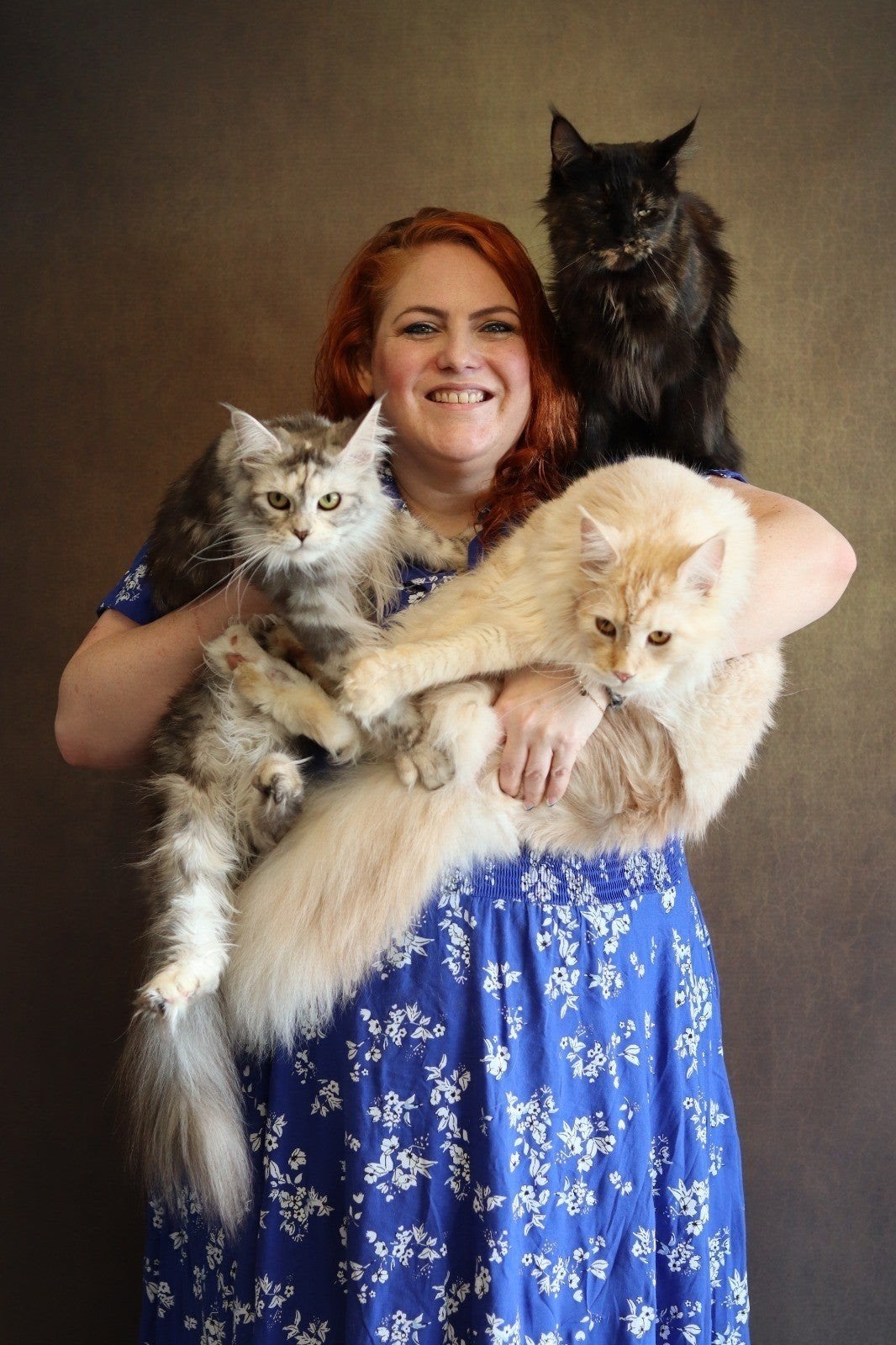 Liefdevolle kattenoppas in Broek op Langedijk!, Diensten en Vakmensen, Particuliere oppas