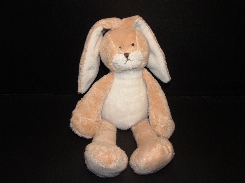 TOYS EVORA KRUIDVAT KONIJN BUNNY FRIEND VELOURS ECRU, Ophalen of Verzenden, Nieuw, Overige typen