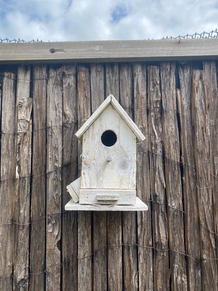 Houten vogelhuisje - Wit geverfd, Ophalen of Verzenden, Gebruikt