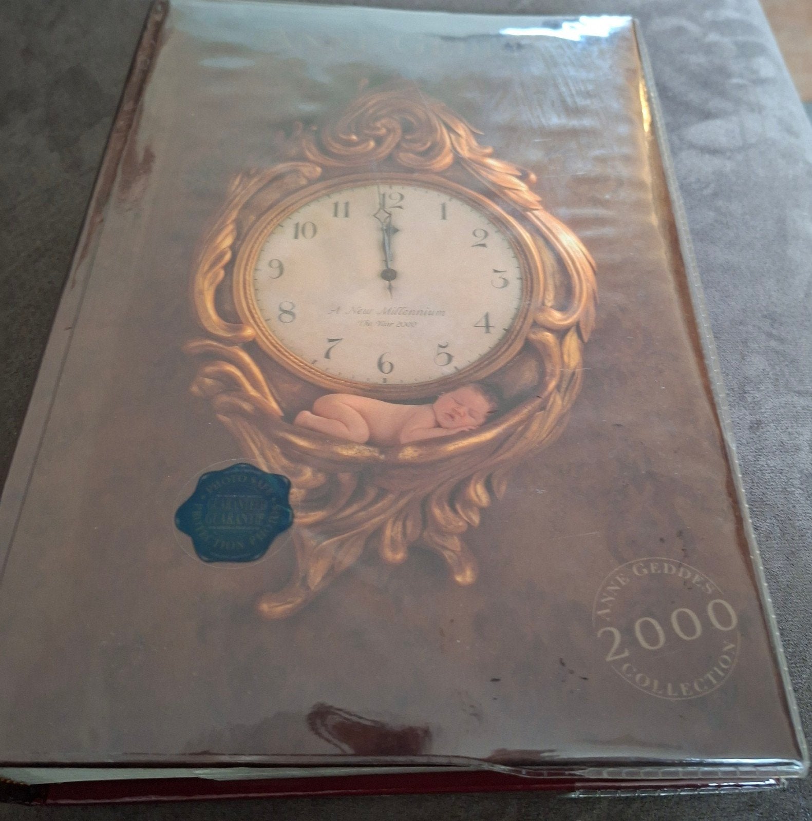 millennium-uitgave uit 2000  insteek foto album Anne Geddes, Meerkleurig, Nieuw, Ophalen of Verzenden, Anne Geddes