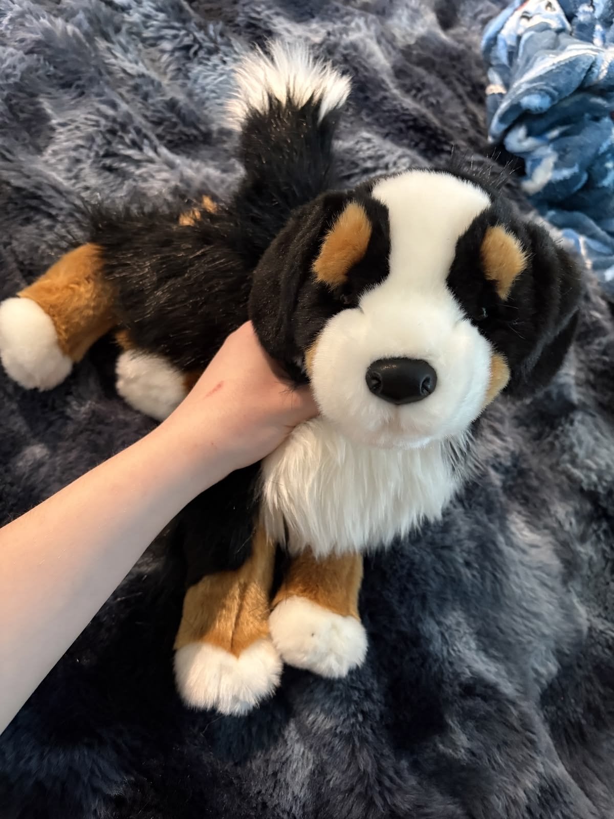 Douglas Trevor Bernese Mountain Dog, Ophalen, Overige merken, Overige karakters, Zwart