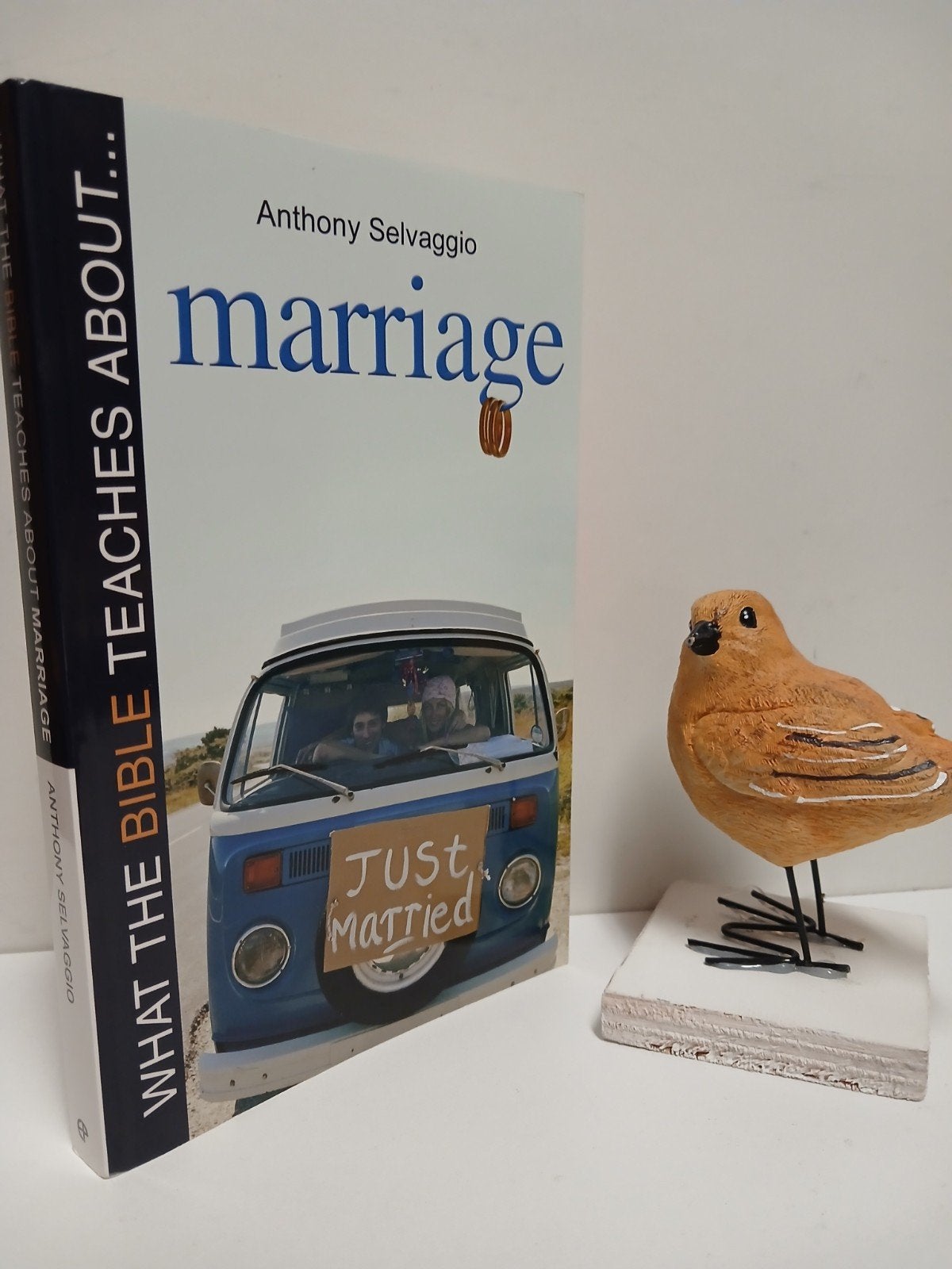 Selvaggio, Anthony; What the Bible teach about marriage, Ophalen of Verzenden, Gelezen, Christendom | Protestants
