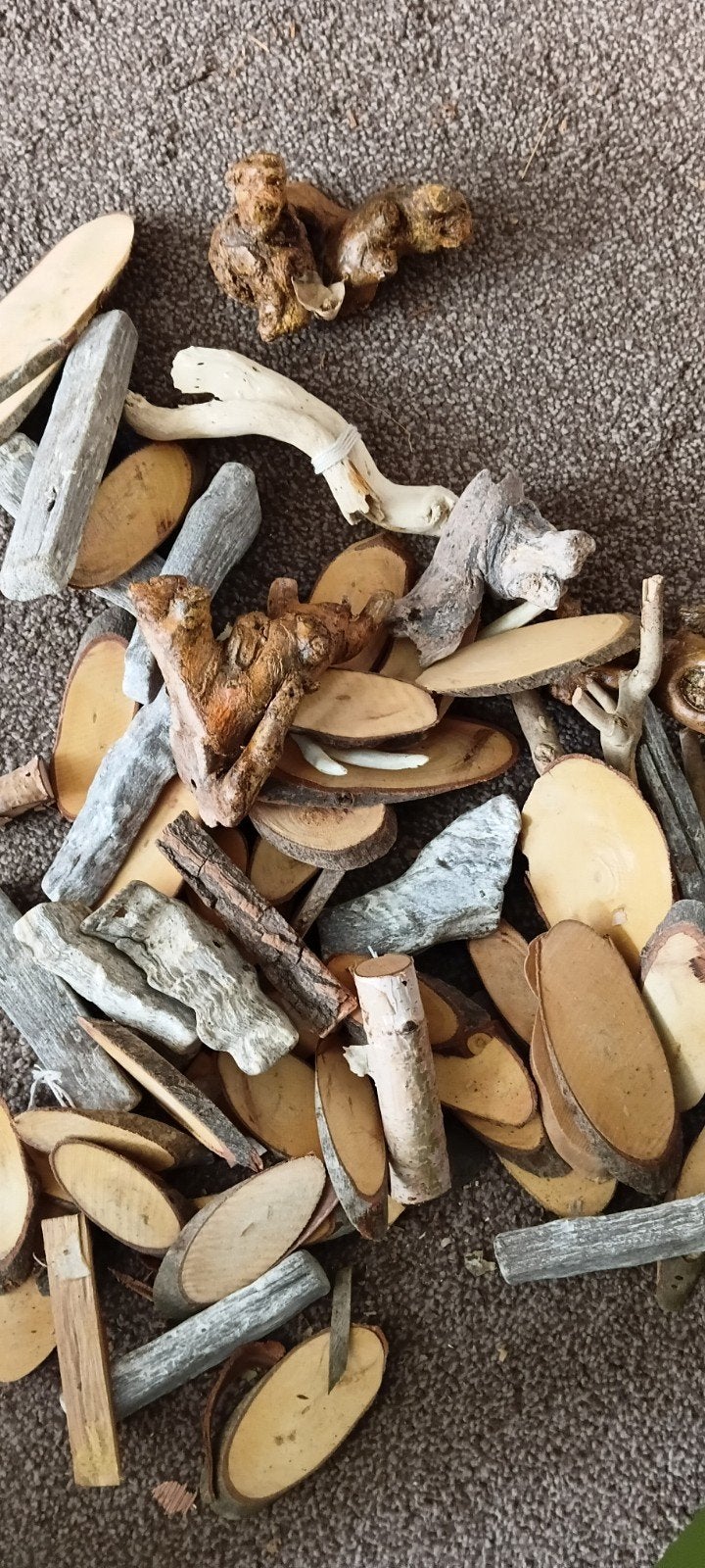 Diverse stukjes hout voor de hobbyist, Hobby en Vrije tijd, Knutselen, Gebruikt, Meerkleurig, Knutselmateriaal, Hout