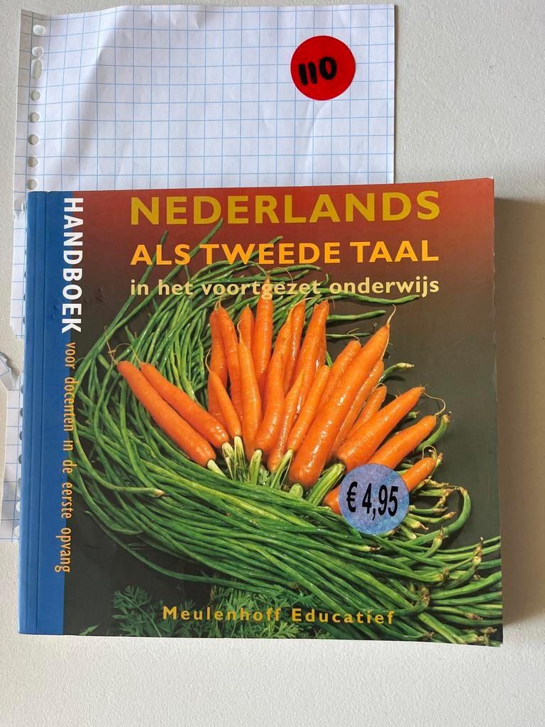 Handboek Nederlands als Tweede Taal Voortgezet Onderwijs, Boeken, Studieboeken en Cursussen, Ophalen of Verzenden, Alpha, Zo goed als nieuw
