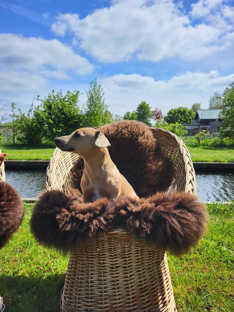 Retro rieten stoeltjes, Ophalen, Gebruikt, Twee, Bruin