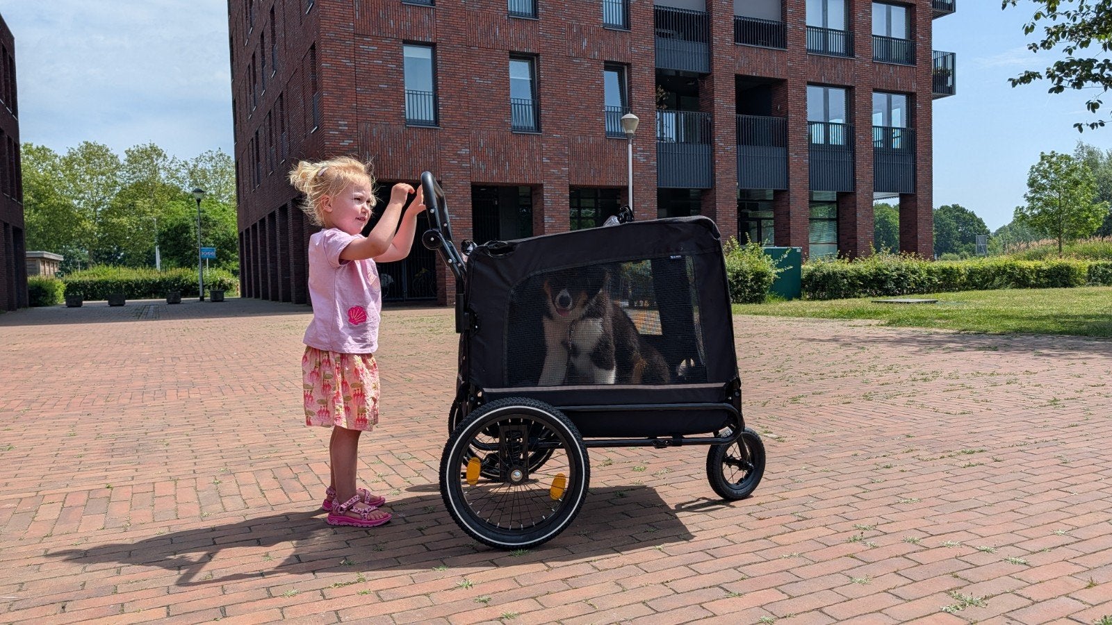 JC Pets Hondenkar - Eén keer gebruikt, Dieren en Toebehoren, Ophalen of Verzenden, Zo goed als nieuw