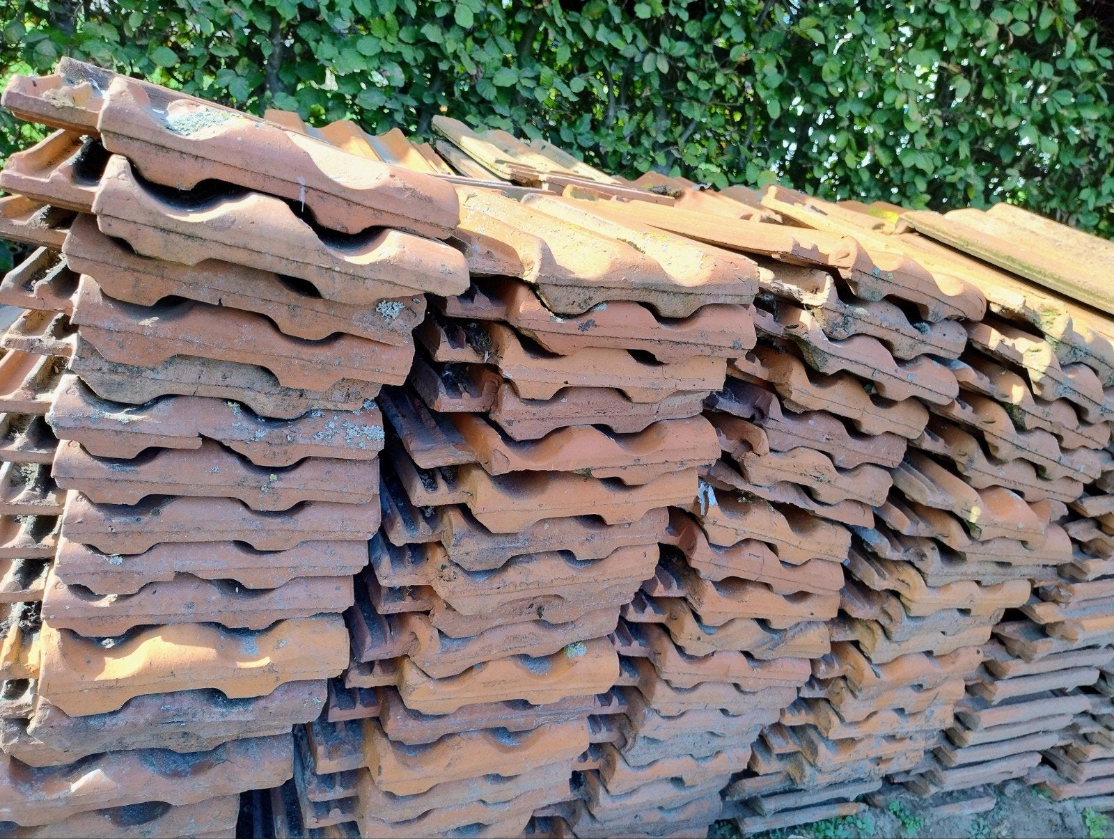 Oude rode dakpannen - ca. 250 stuks, Doe-het-zelf en Verbouw, Ophalen, Gebruikt, Steen of Klei, Dakpannen