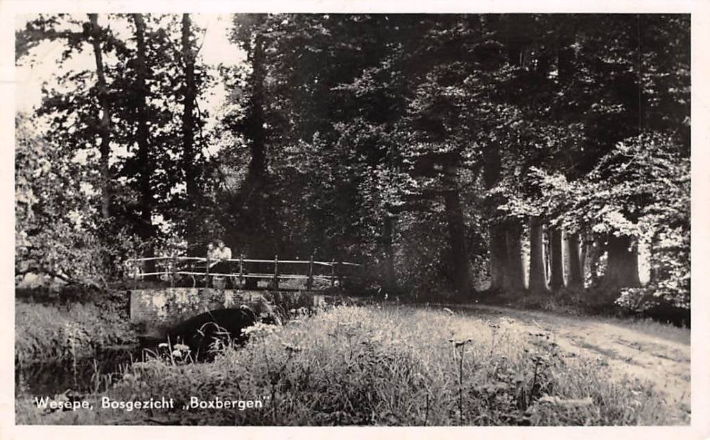Wesepe Bosgezicht Boxbergen brug Olst-Wijhe, Ophalen of Verzenden, 1940 tot 1960, Gelopen, Overijssel