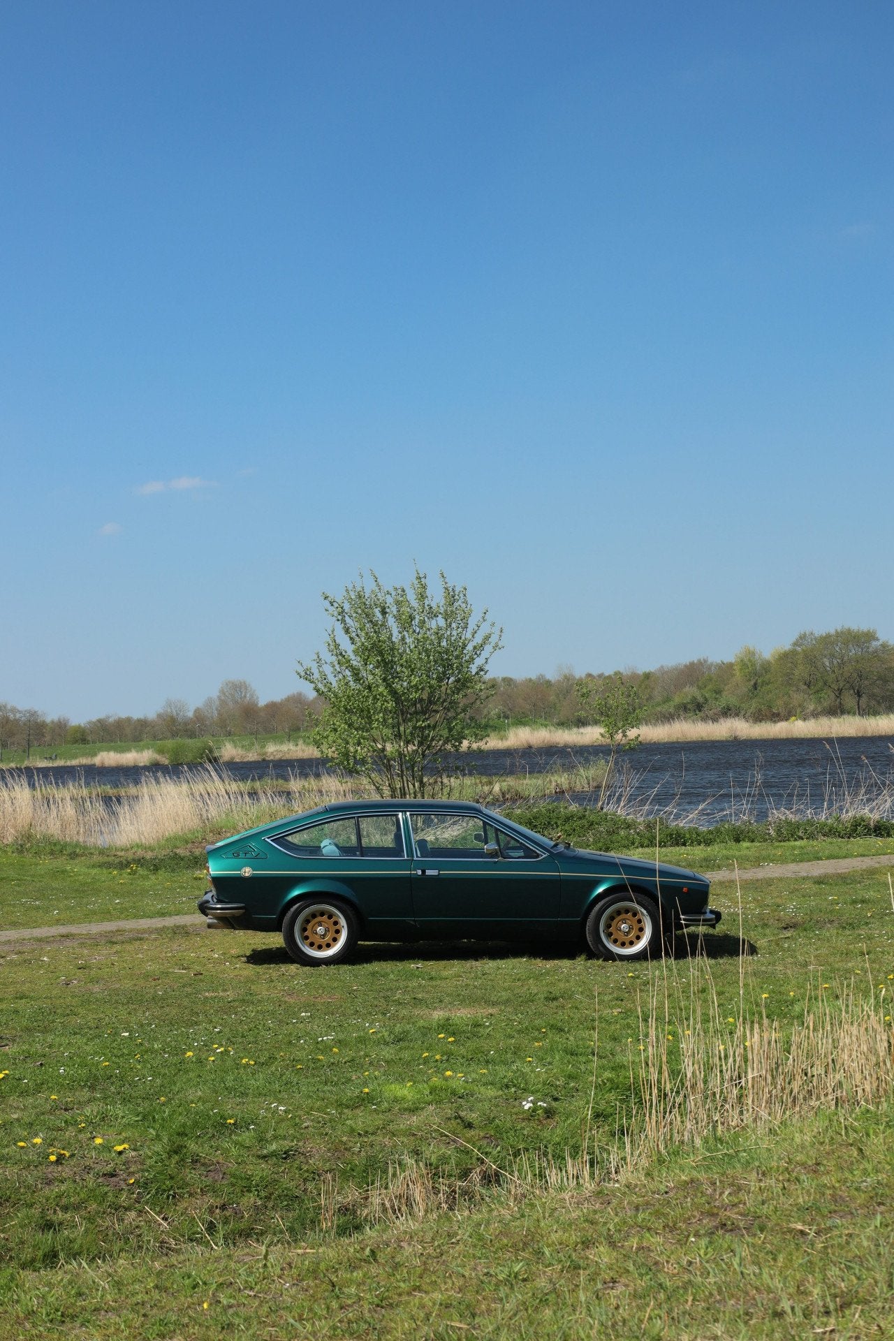 Alfa Romeo Alfetta 2.0 GT Veloce | 15" Ronal velgen, foto 2