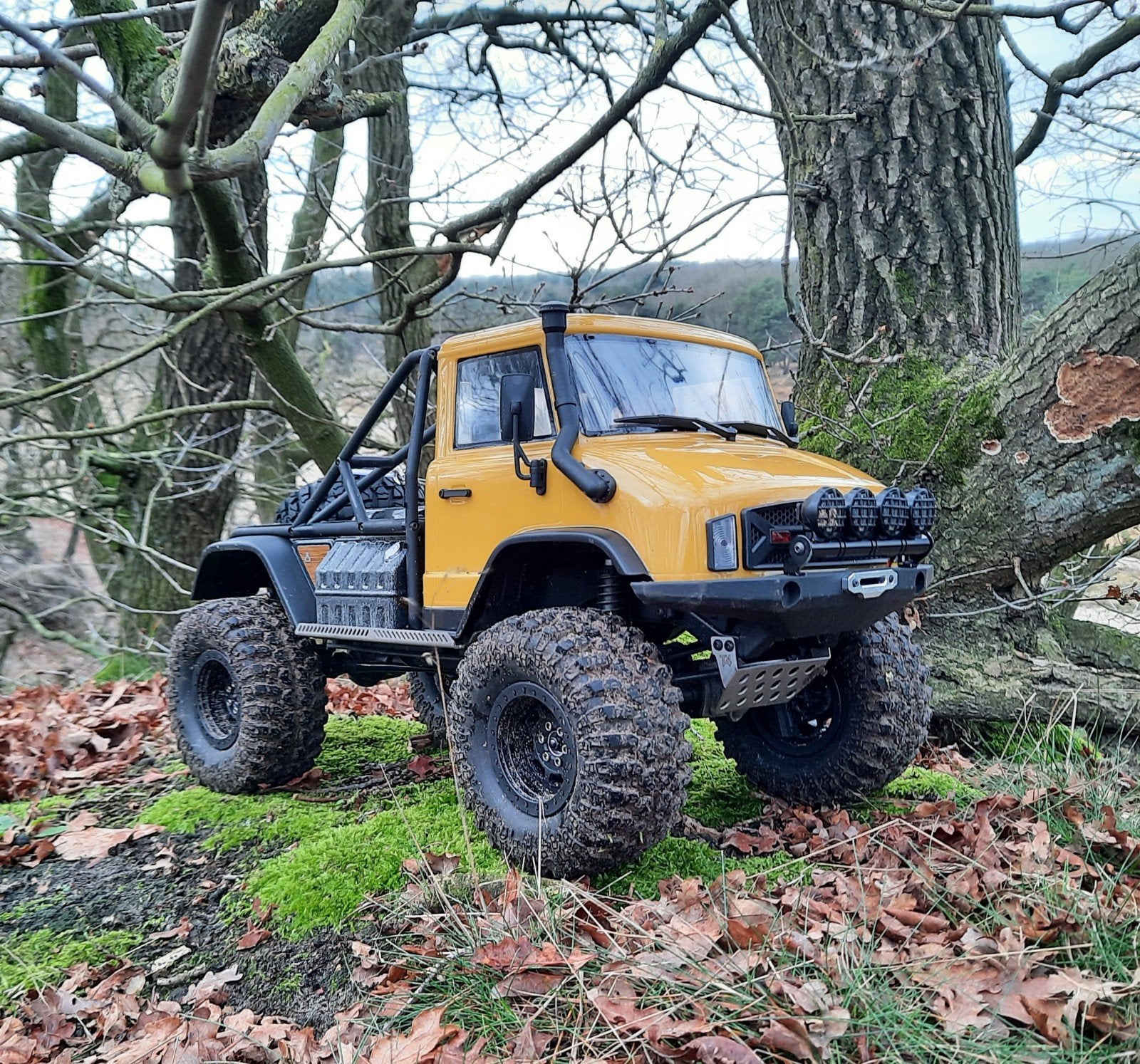Unimog, Gebruikt, Auto offroad, Schaal 1:10, Ophalen