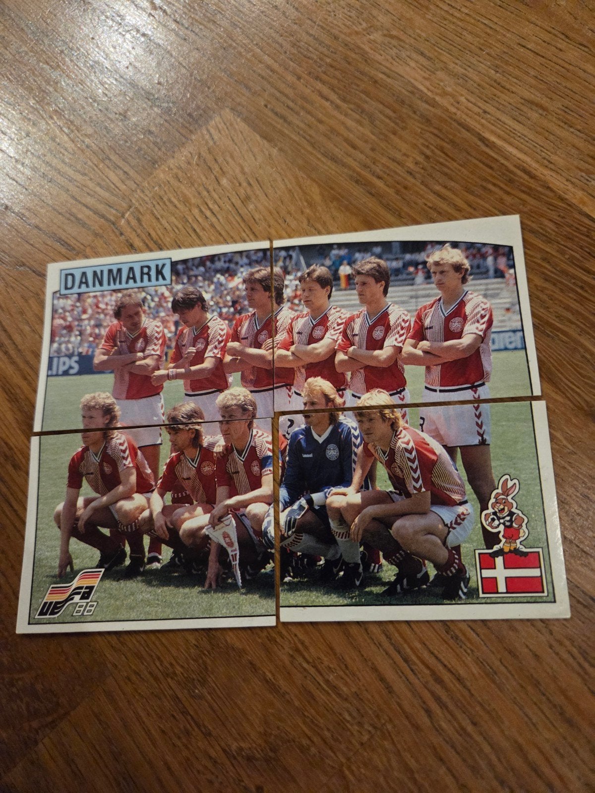 Panini EK 88 Denemarken, Ophalen of Verzenden, Zo goed als nieuw, Buitenlandse clubs, Poster, Plaatje of Sticker