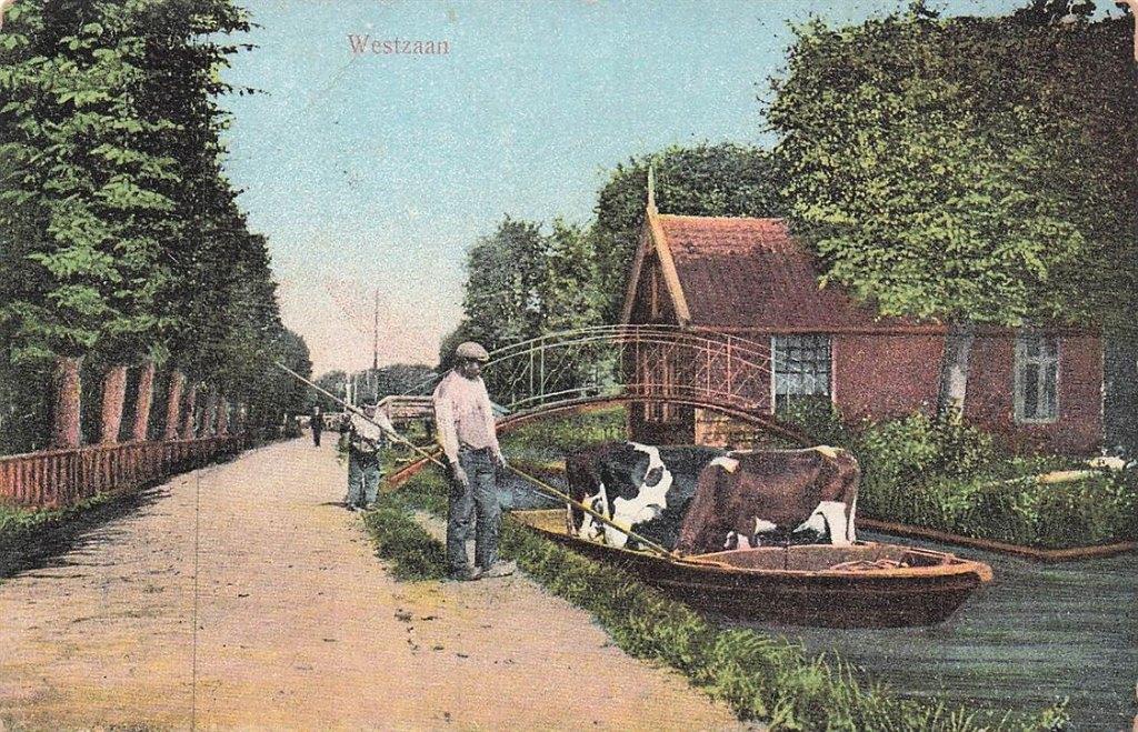 703-442-035 Westzaan, Verzamelen, Verzenden, Voor 1920, Noord-Holland