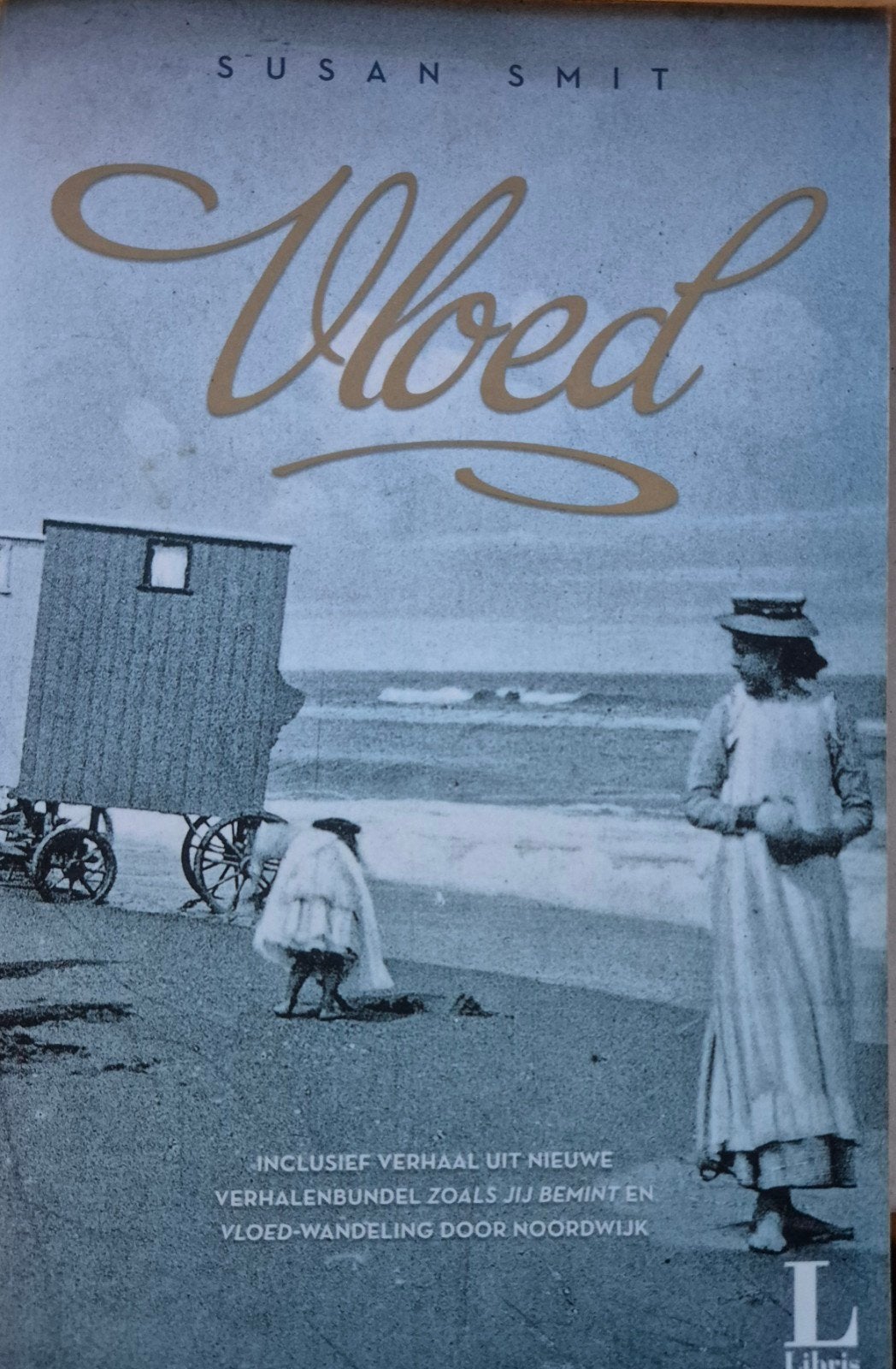 Vloed - Susan Smit, Ophalen of Verzenden, Gelezen, Susan Smit, Nederland