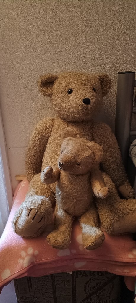 Beren, Antiek en Kunst, Curiosa en Brocante, Ophalen