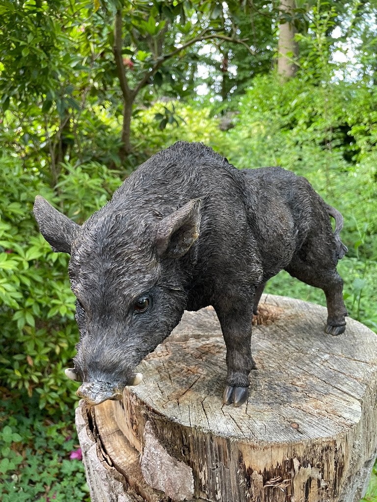 (tuin)beeld everzwijn, gazon, tuin, boerderij 35cm, Ophalen of Verzenden, Nieuw, Kunststof, Dierenbeeld