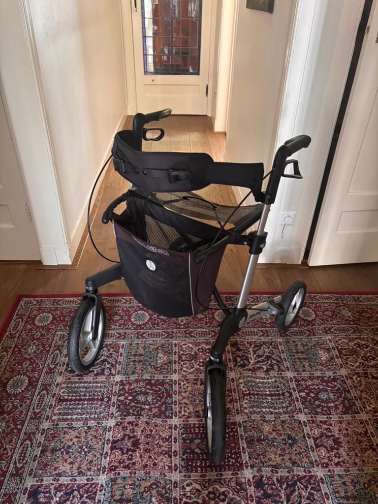 Rollator Gemini 60 de luxe, Ophalen, Gebruikt