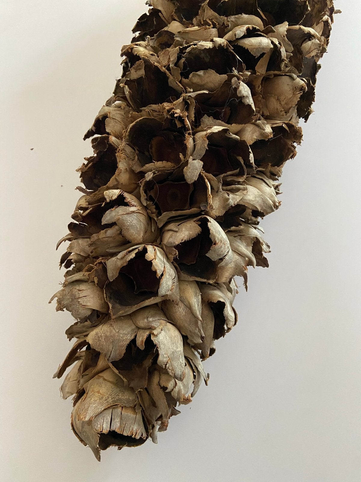 Prachtige decoratieve stam babassupalm woontak, Ophalen, Natuurlijk materiaal, Bruin, Landelijk