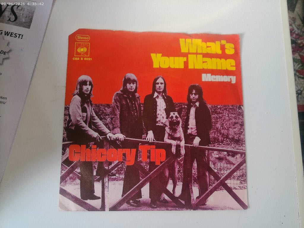 Chicory Tip - What's your name / memory, Fotohoes, Ophalen of Verzenden, Gebruikt, Rock en Metal