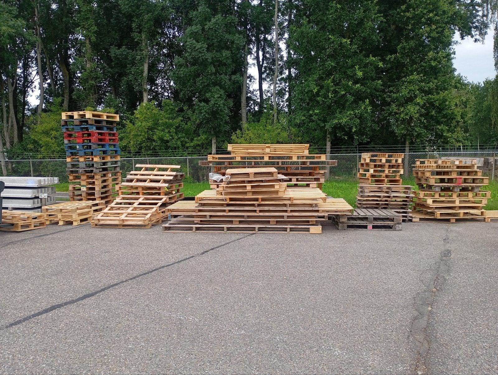 Grote partij wegwerp pallets, Ophalen, 50 mm of meer, Pallet, Minder dan 200 cm