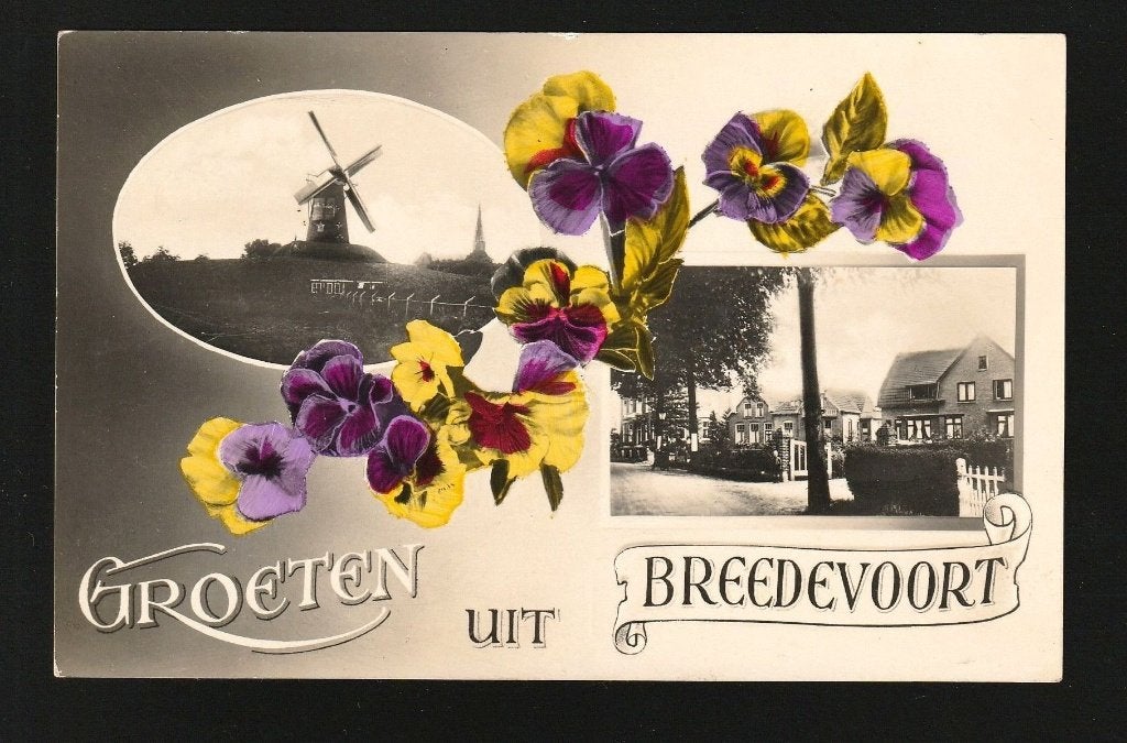 3 Prachtige fotokaarten Bredevoort, Verzamelen, Ophalen of Verzenden, Voor 1920, Gelderland