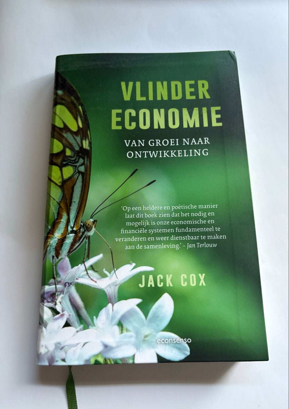 Vlinder Economie: Van Groei naar Ontwikkeling - Jack Cox, Ophalen of Verzenden, Zo goed als nieuw, Economie en Marketing