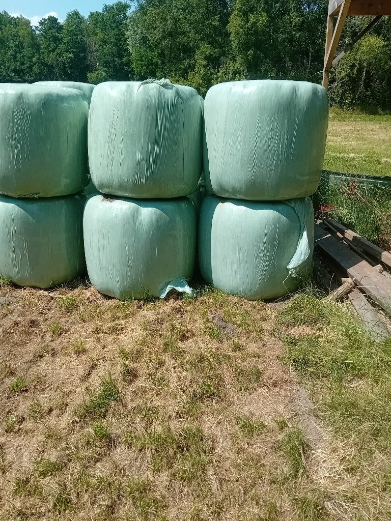 midi balen hooi te koop, Zakelijke goederen, Ophalen