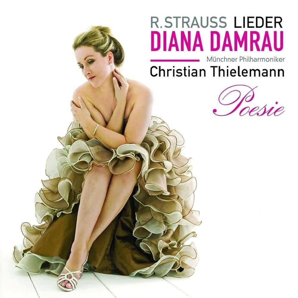 STRAUSS Lieder CD DAMRAU THIELEMANN VIRGIN, Ophalen of Verzenden, Romantiek, Gebruikt, Orkest of Ballet