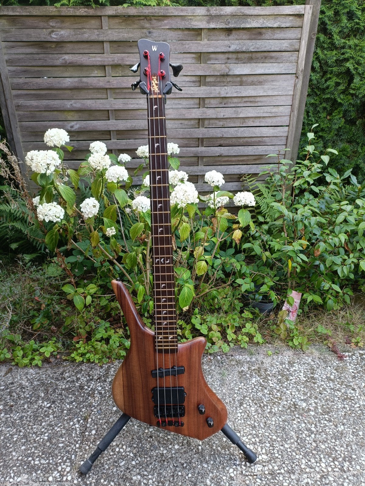 Warwick Dolphin Pro 1 1989 Boire Bartolini, Ophalen of Verzenden, Gebruikt, Elektrisch