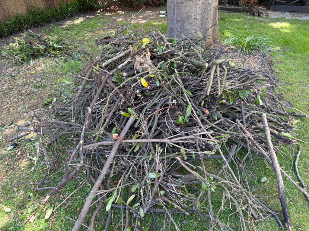 Gratis stookhout, Ophalen of Verzenden, Takken
