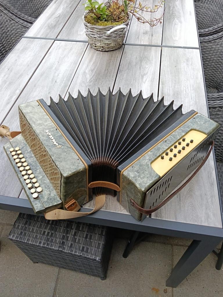Accordeon, Muziek en Instrumenten, Accordeons, Ophalen, Gebruikt, Overige merken
