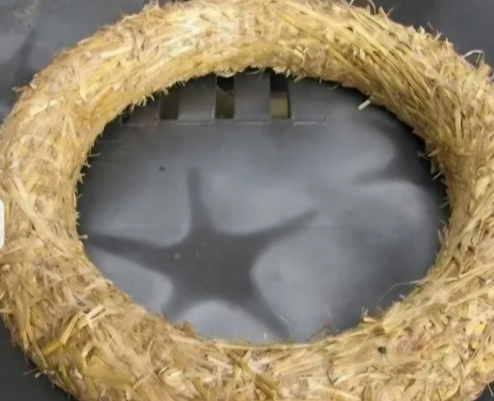 Strokrans 50 cm - Natuurlijk materiaal, 50 cm, Krans, Nieuw, Ophalen of Verzenden