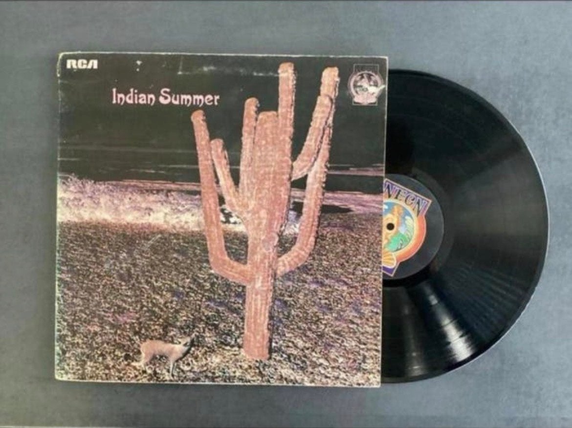 Indian Summer - Indian Summer (LP), Ophalen of Verzenden, 12 inch