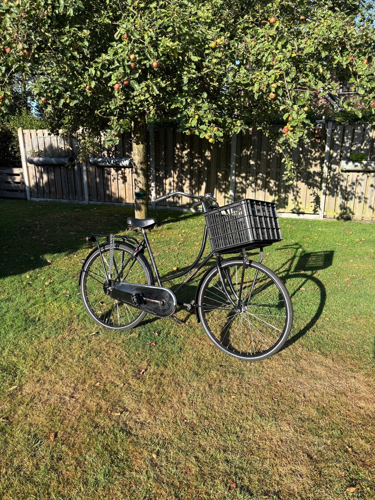 Stoere Cortina Tour omafiets, 56 cm of meer, Ophalen, Gebruikt, Terugtraprem