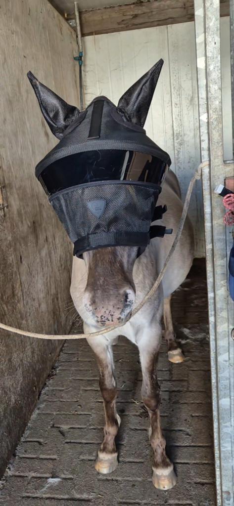 99% uv masker maat S pony, Ophalen of Verzenden, Nieuw, Overige typen