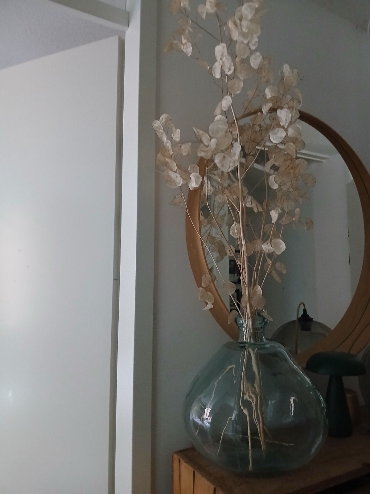 Grote glazen vaas met gedroogde Lunaria takken, Ophalen