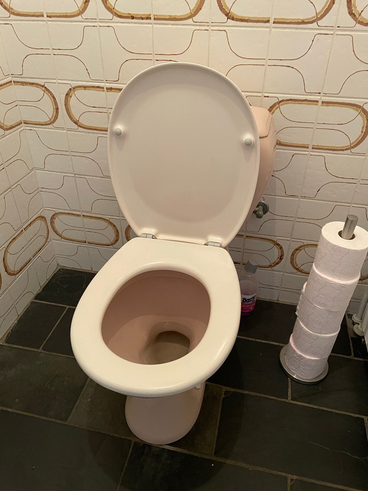 Vintage Roze Toilet en Wastafel - af te halen medio oktober, Ophalen, Gebruikt, Toilet