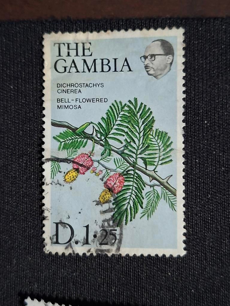 Gambia, Ophalen of Verzenden, Overige landen, Gestempeld