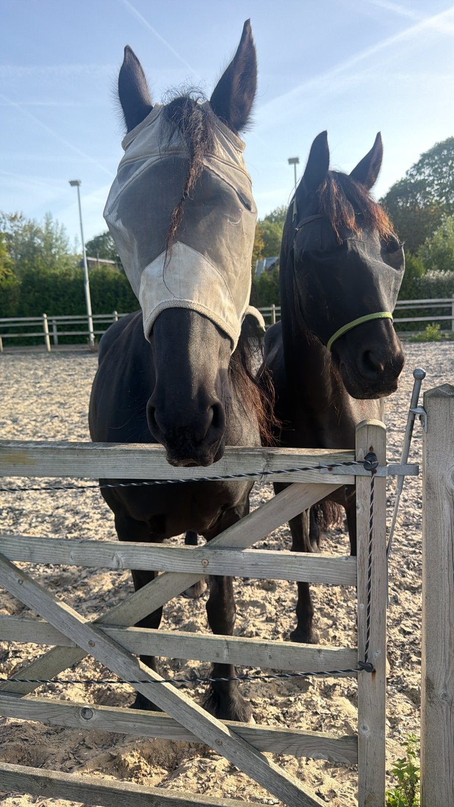 Paardentrack mesten., Ophalen of Verzenden, Zo goed als nieuw