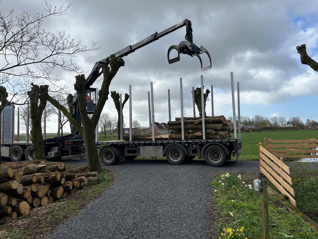 Brandhout Stamhout Boomstammen volle en kleinere vrachten, Tuin en Terras, Haardhout, 6 m³ of meer, Ophalen, Stammen