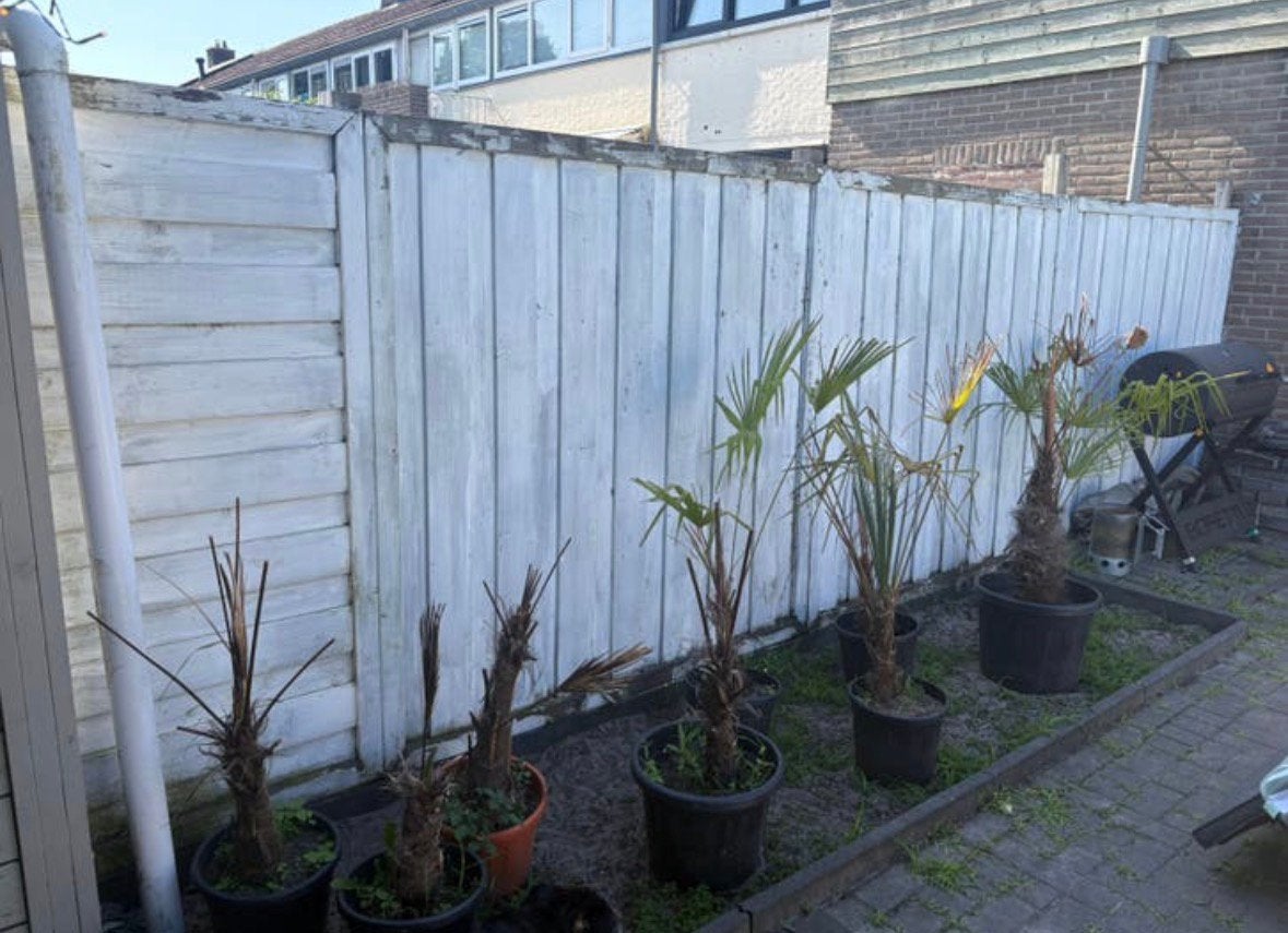 Schutting gratis, Ophalen, Zo goed als nieuw, Hout, Tuinhek