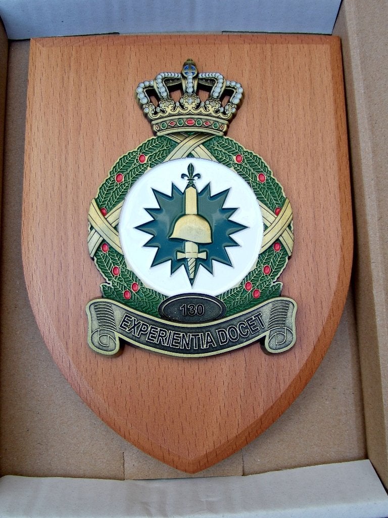 Gegoten wapenschild Koninklijke Luchtmacht 130 Squadron, Verzamelen, Verzenden, Luchtmacht, Nederland, Overige typen