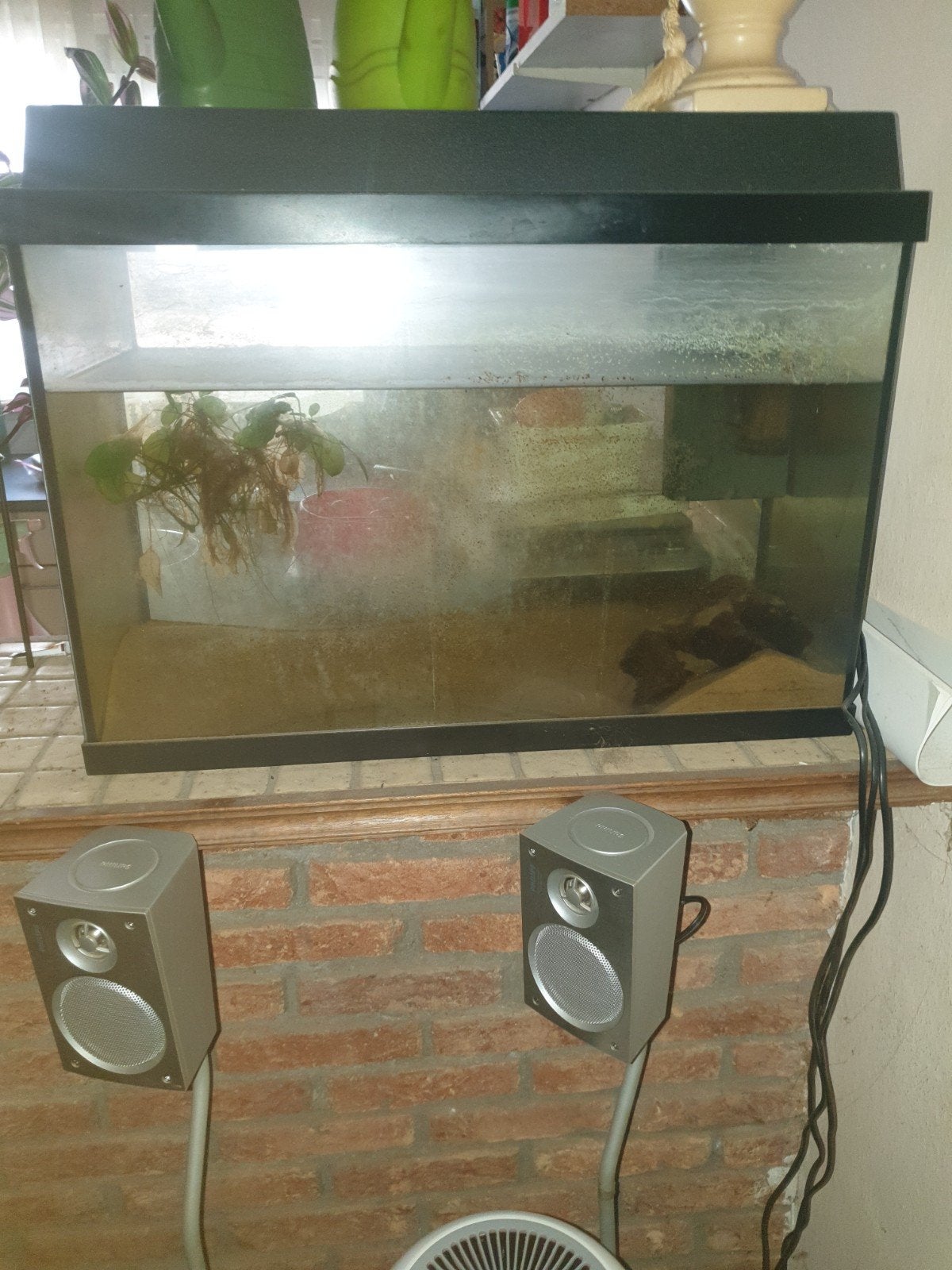 Aquarium van jewel, Ophalen, Leeg aquarium