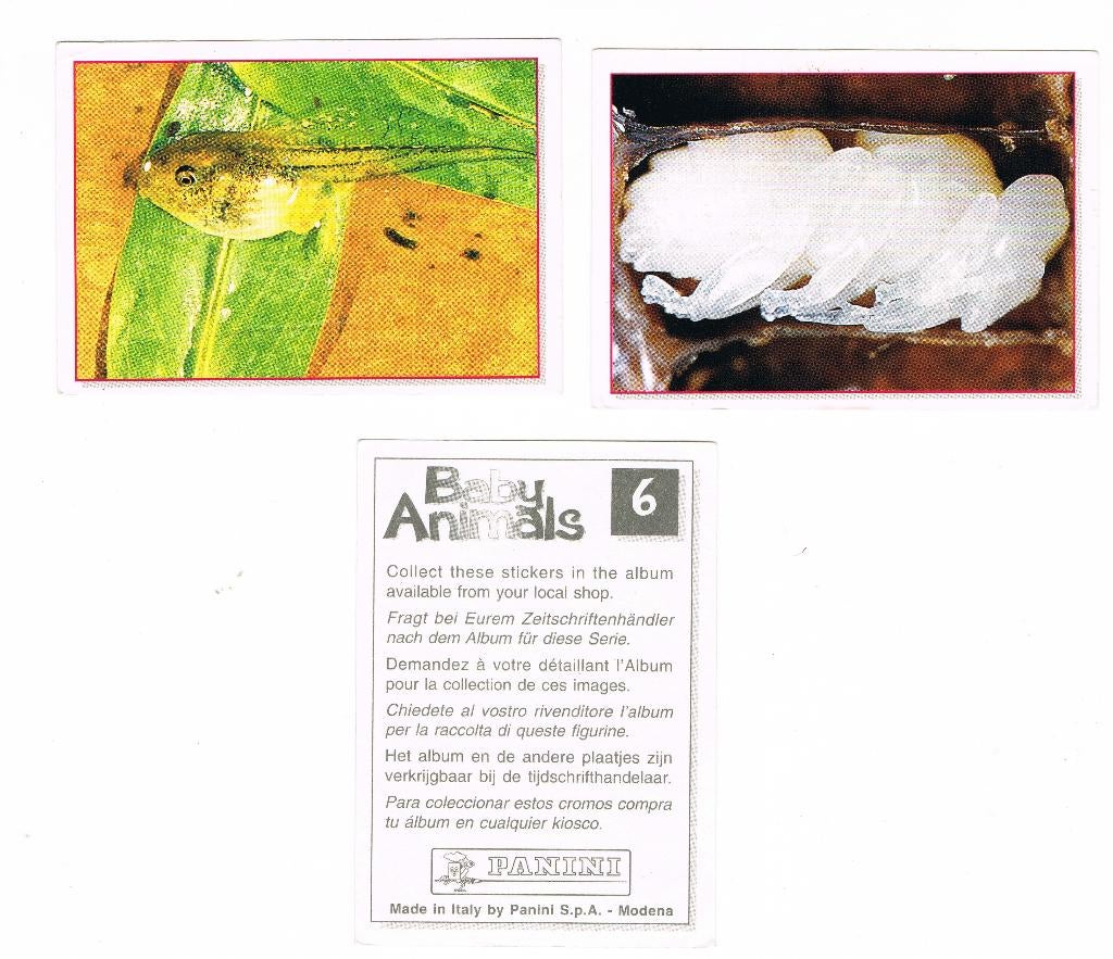 BABY ANIMALS - PANINI PLAATJES - zie lijst, Ophalen of Verzenden