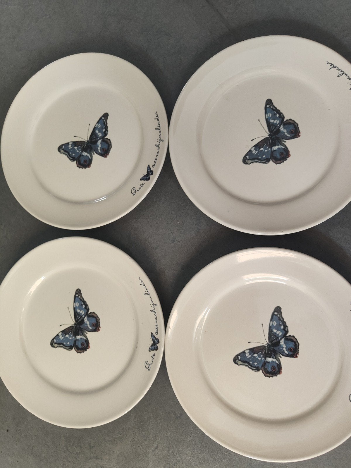 4 Janneke Brinkman Douwe Egberts gebak schoteltjes vlinder, Antiek en Kunst, Antiek | Servies los, Ophalen of Verzenden