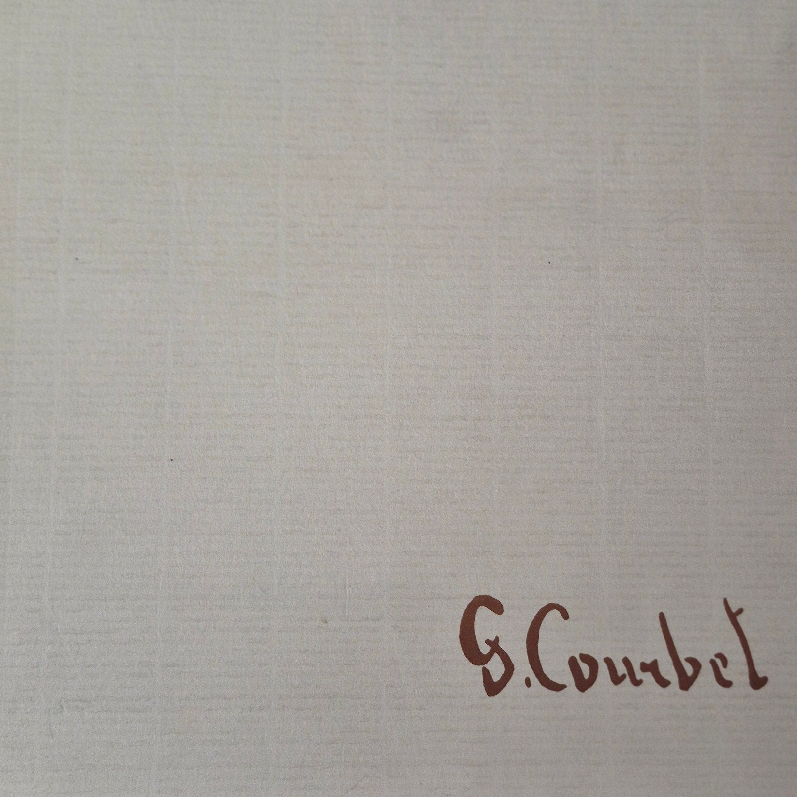 Kunstboek Gustave Courbet – Grote Platen (Ideaal om in te li, Ophalen of Verzenden, Gelezen, Schilder- en Tekenkunst