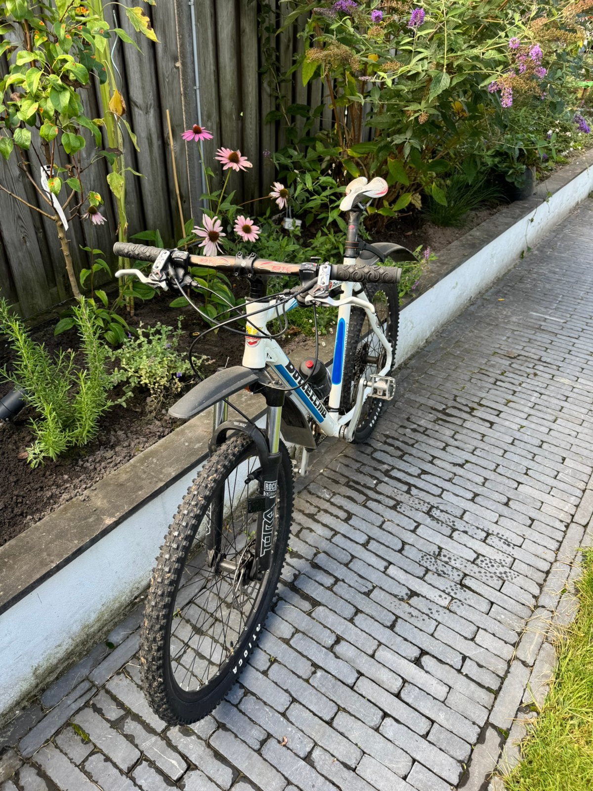 Mountainbike 56 bottecchia, Fietsen en Brommers, Gebruikt, Heren, Schijfrem, 53 tot 57 cm